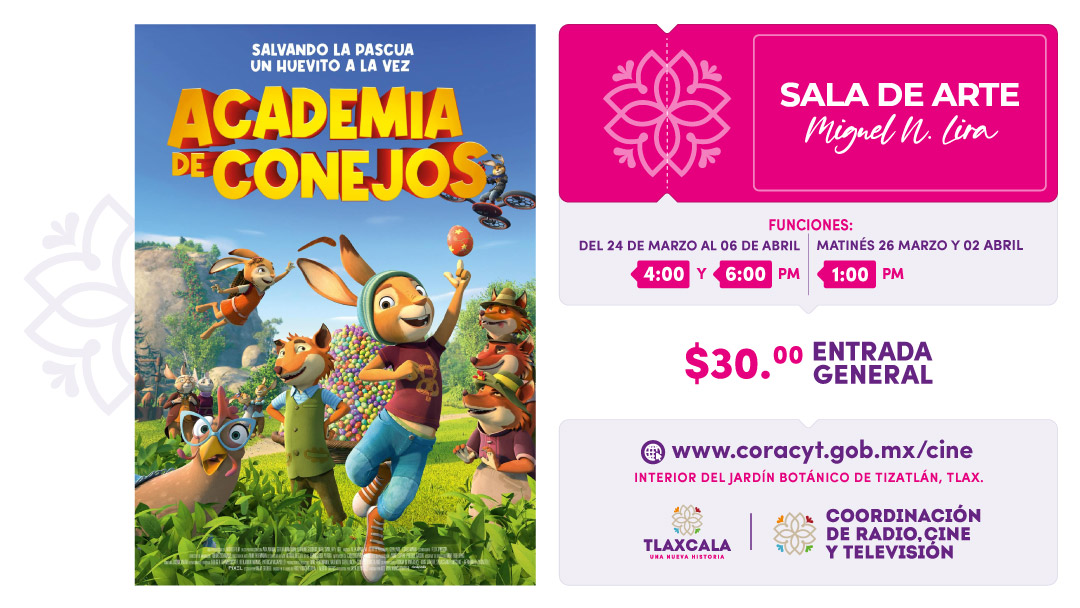 academia de conejos WEB